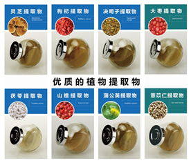 雞內(nèi)金提取物生產(chǎn)廠(chǎng)家 固體飲料代加工 50ml液體飲料代加工 oem