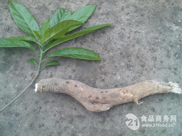 馬比木提取物(25kg/桶)包郵_中國(guó)西安_植物提取物-