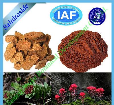 【陜西慧科廠家優(yōu)質(zhì)山楂提取物】?jī)r(jià)格_廠家_圖片 -