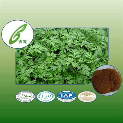 植物提取物-艾草植物提取物,符合保健食品和出口標(biāo)準(zhǔn),可提供訂制加工服務(wù)-植物提取.