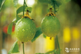 價(jià)格 產(chǎn)品報(bào)價(jià)