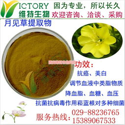 月見草提取物限時(shí)促銷，西安維特生物科技為您帶來純正植物精華