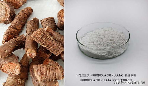 2020年化妝品原料熱點(diǎn)點(diǎn)評(píng) 植物提取物的新浪潮與前沿應(yīng)用